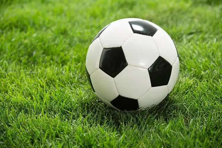 90足球比分即时pc版使用流程示意图